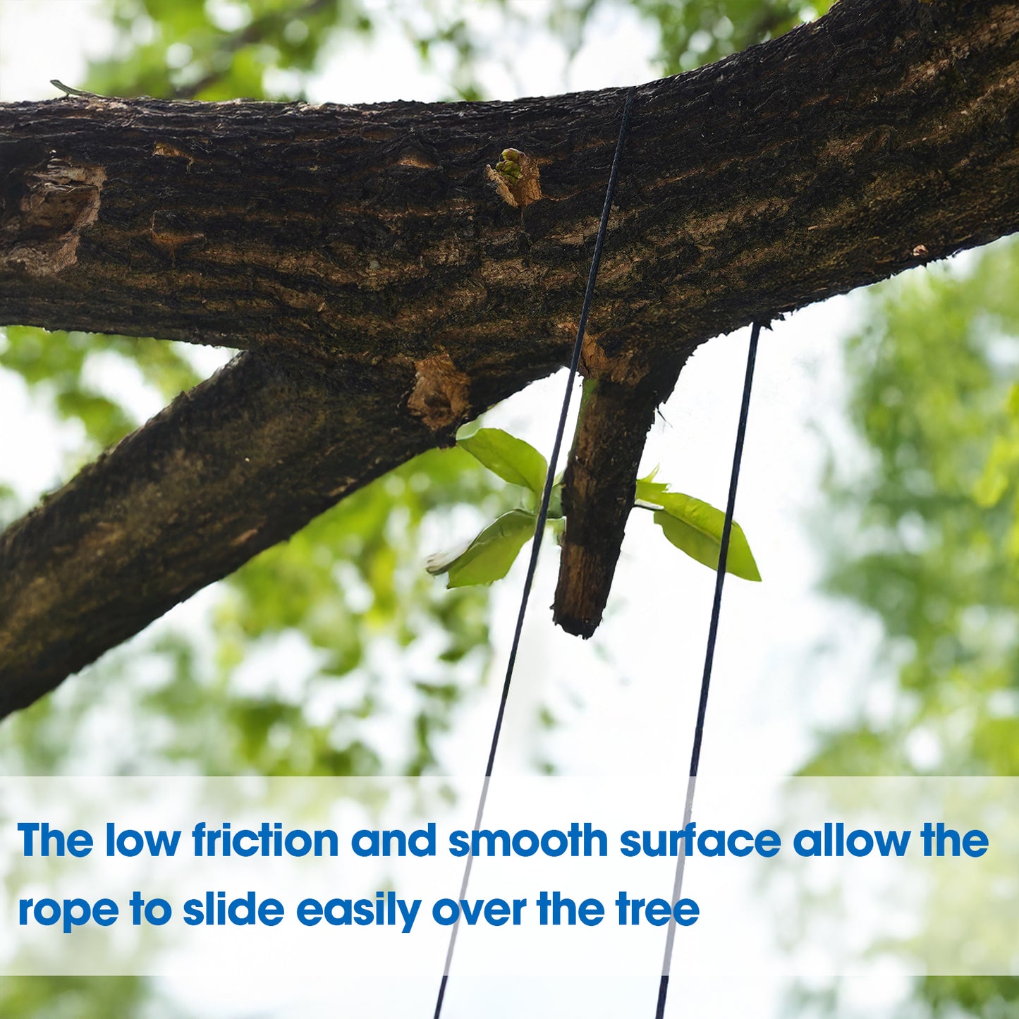 IMAGE Kevlar Cord196ft UHMWPE Braided Throw Line Nylon Cord 1.8mm, 660LB High Strength, Low Stretch, Spliceable Arborist Rope for Tree Work, Hammock, Tarp, Tent, Camping