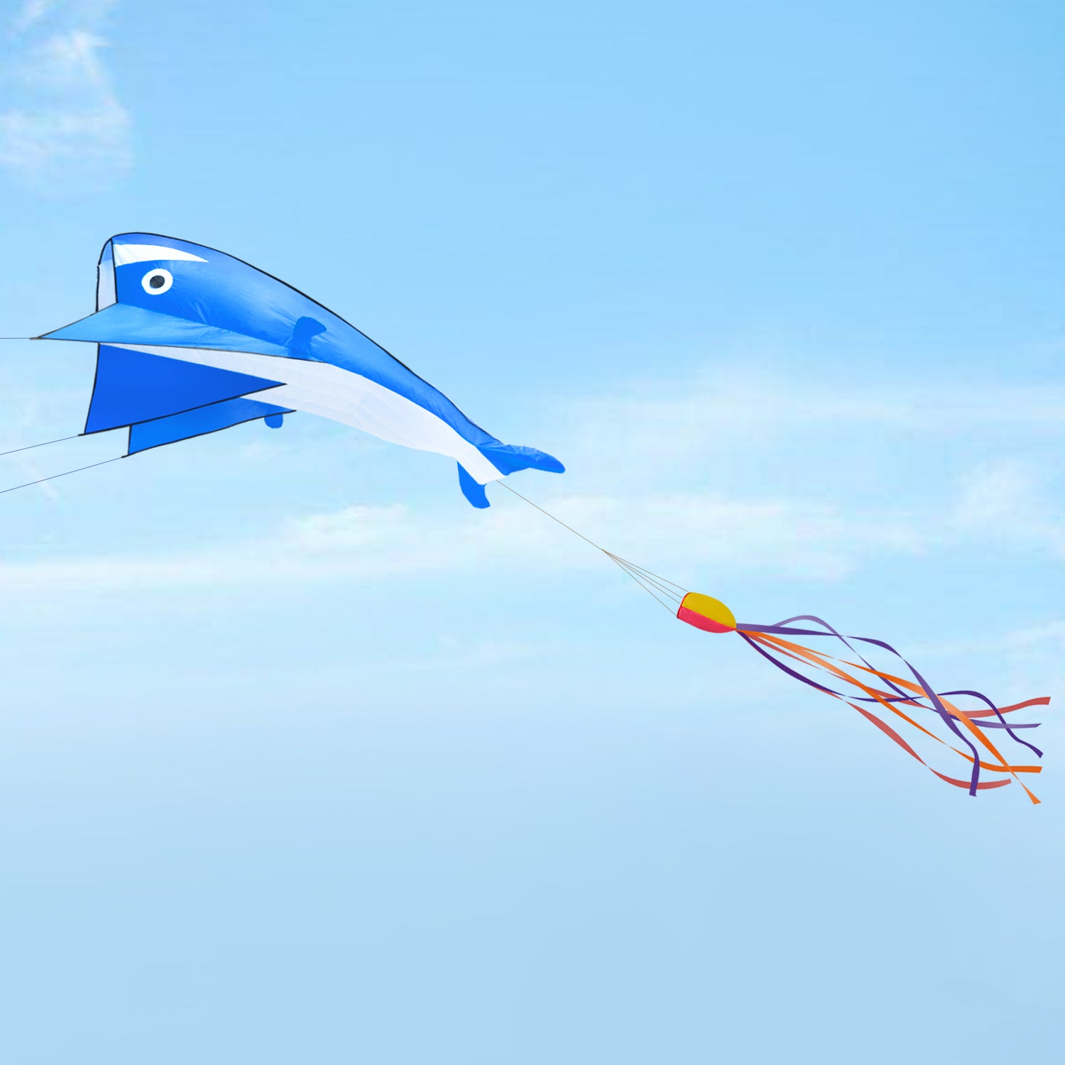 Image 3D Kite Large Blue Dolphin Breeze Beach Kites with Huge Frameles –  imagestoreus